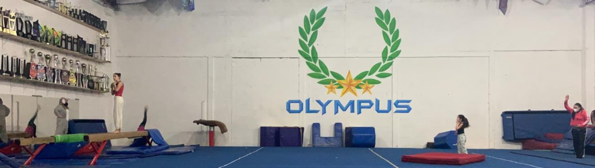 Gymnastics area